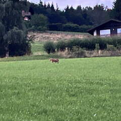 22-07-05 21-46-47 1435